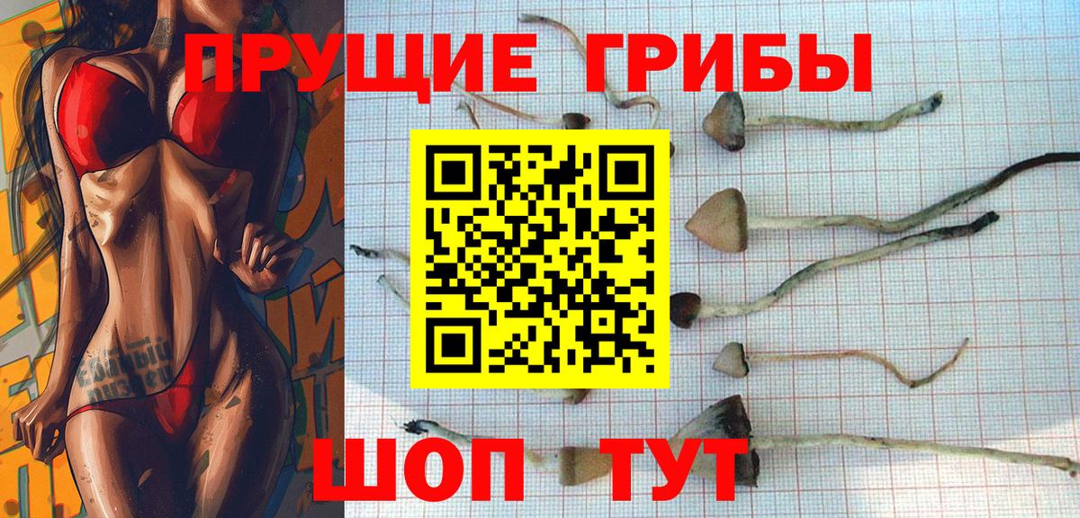 Псилоцибиновые грибы Magic Shrooms  Псилоцибиновые грибы MAGIC MUSHROOMS  Вход с VPN  Алексеевка 